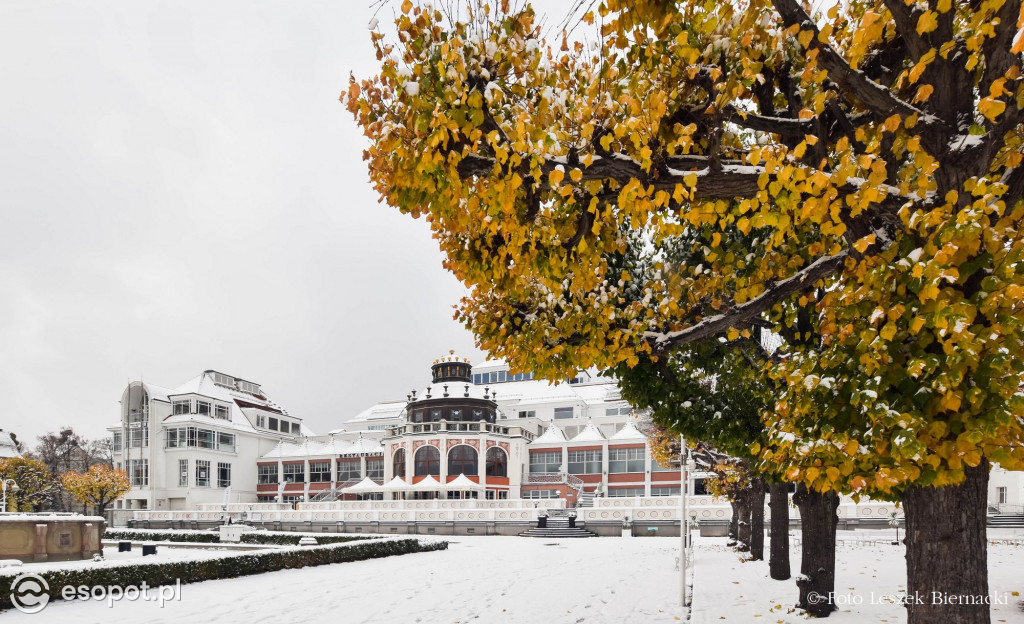 Sopot jak z bajki na wyjątkowych zdjęciach! Za nami kolejny listopadowy weekend [FOTO]