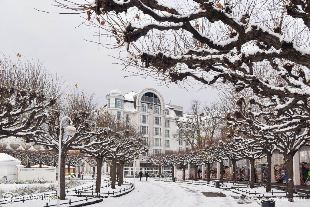 Sopot jak z bajki na wyjątkowych zdjęciach! Za nami kolejny listopadowy weekend [FOTO]