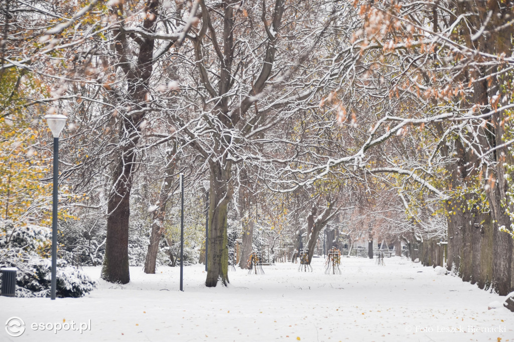Sopot jak z bajki na wyjątkowych zdjęciach! Za nami kolejny listopadowy weekend [FOTO]