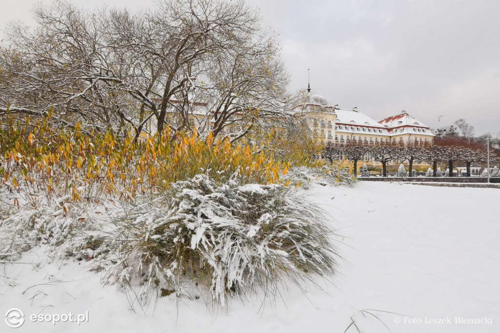 Sopot jak z bajki na wyjątkowych zdjęciach! Za nami kolejny listopadowy weekend [FOTO]