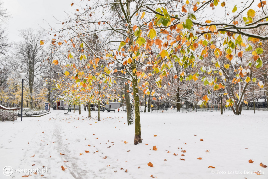 Sopot jak z bajki na wyjątkowych zdjęciach! Za nami kolejny listopadowy weekend [FOTO]