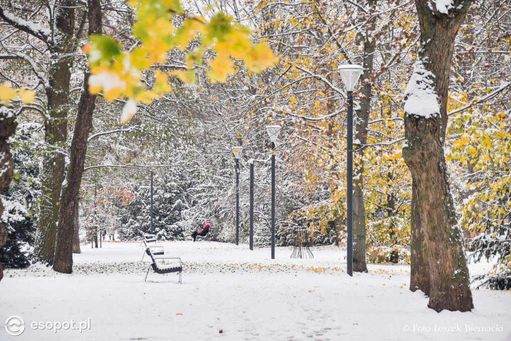 Sopot jak z bajki na wyjątkowych zdjęciach! Za nami kolejny listopadowy weekend [FOTO]