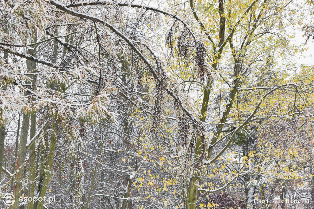 Sopot jak z bajki na wyjątkowych zdjęciach! Za nami kolejny listopadowy weekend [FOTO]