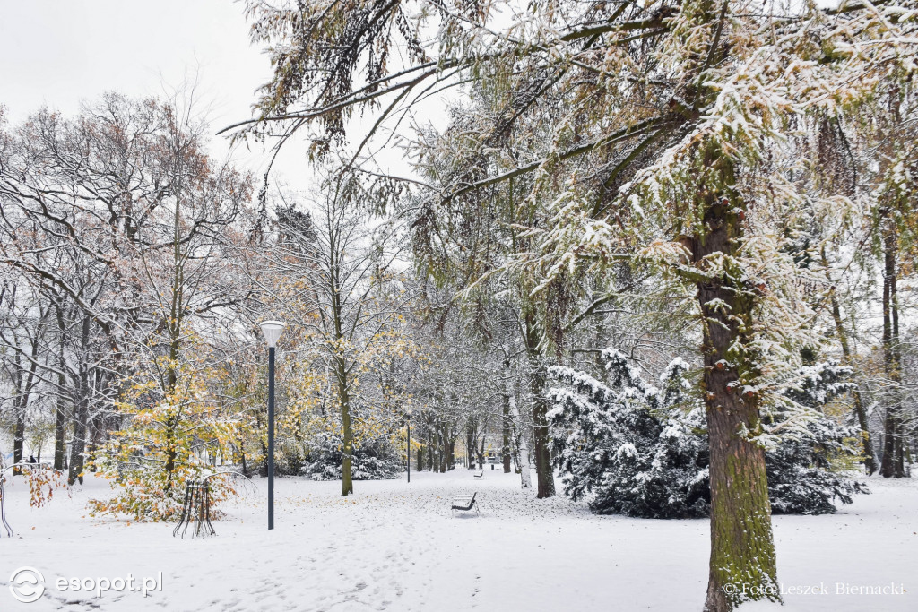 Sopot jak z bajki na wyjątkowych zdjęciach! Za nami kolejny listopadowy weekend [FOTO]