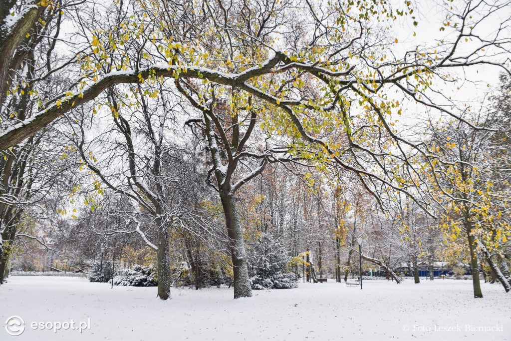Sopot jak z bajki na wyjątkowych zdjęciach! Za nami kolejny listopadowy weekend [FOTO]