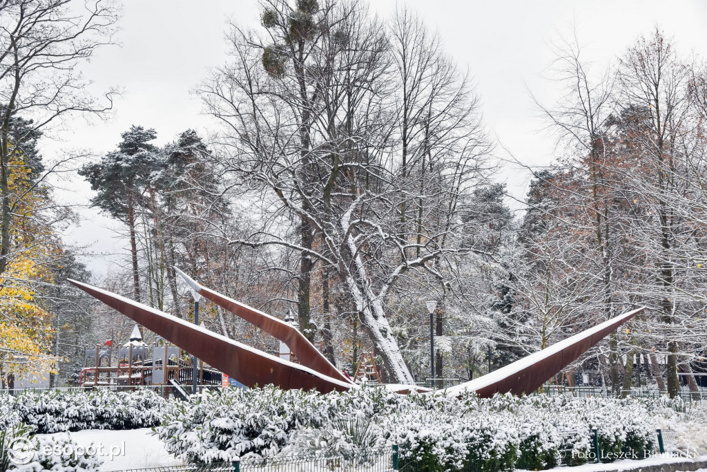 Sopot jak z bajki na wyjątkowych zdjęciach! Za nami kolejny listopadowy weekend [FOTO]