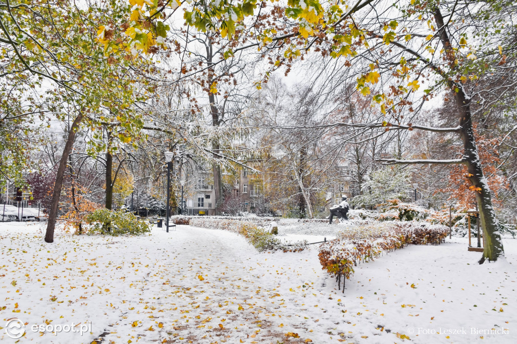 Sopot jak z bajki na wyjątkowych zdjęciach! Za nami kolejny listopadowy weekend [FOTO]