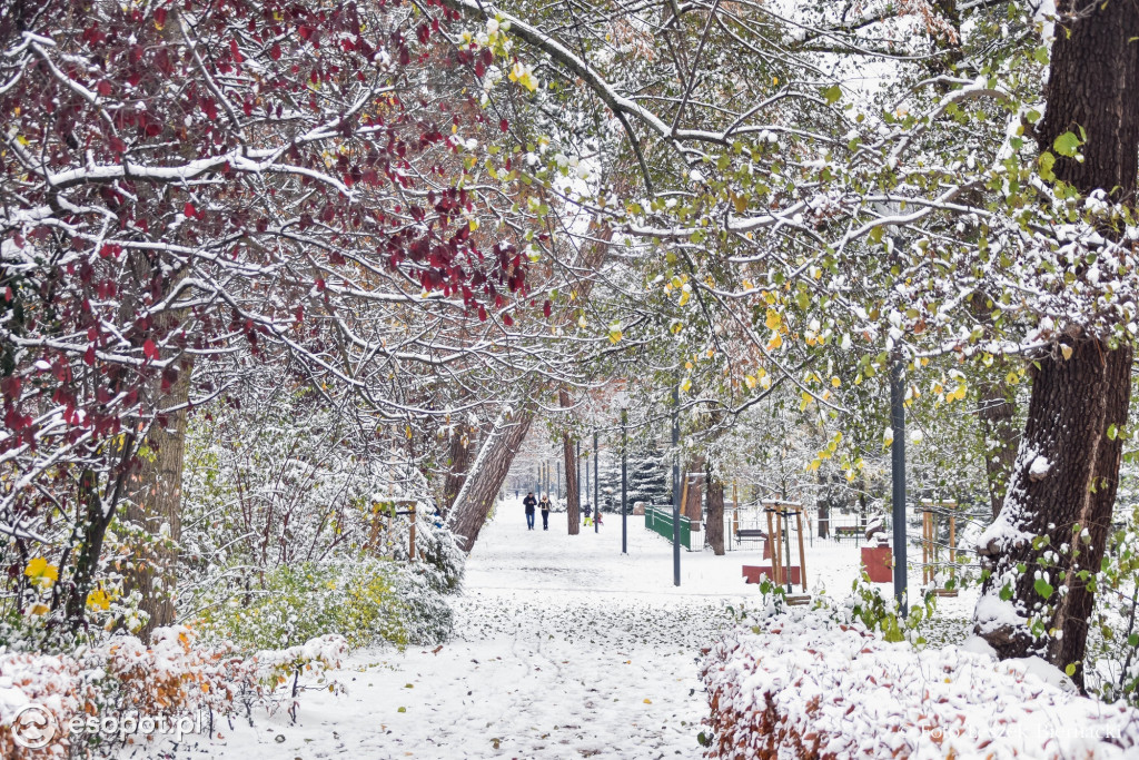 Sopot jak z bajki na wyjątkowych zdjęciach! Za nami kolejny listopadowy weekend [FOTO]