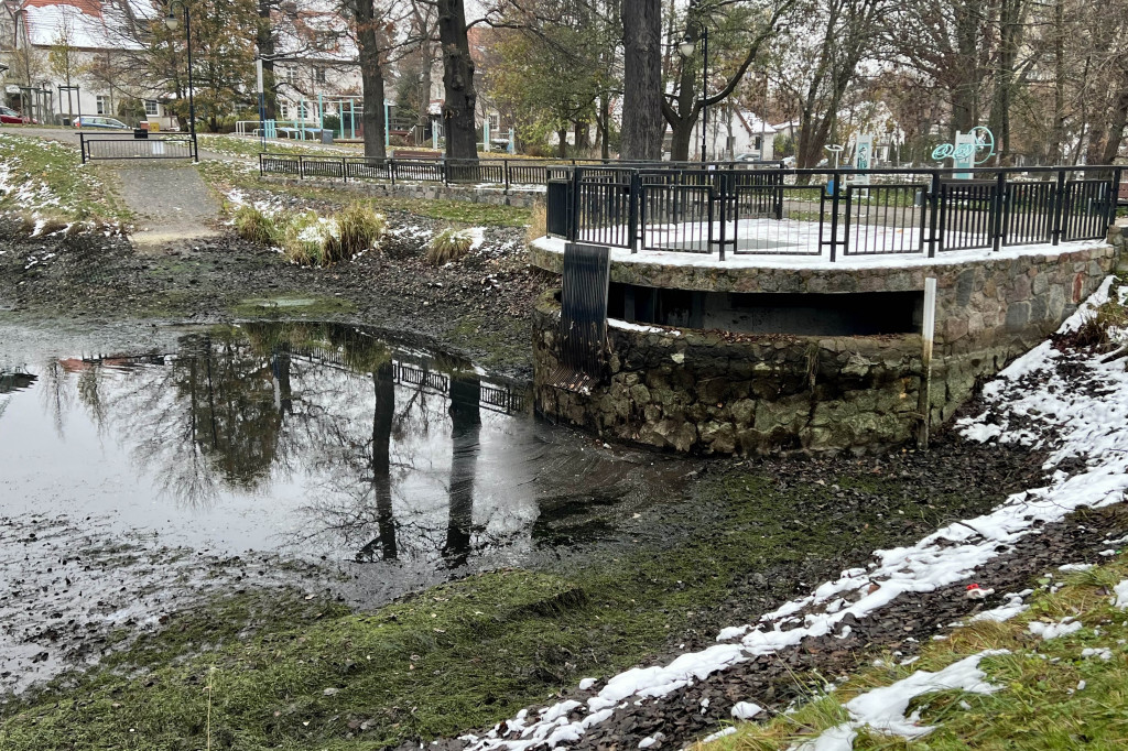 Zobacz osuszony staw przy ul. Reja! Trwa oczyszczanie zbiornika [FOTO]
