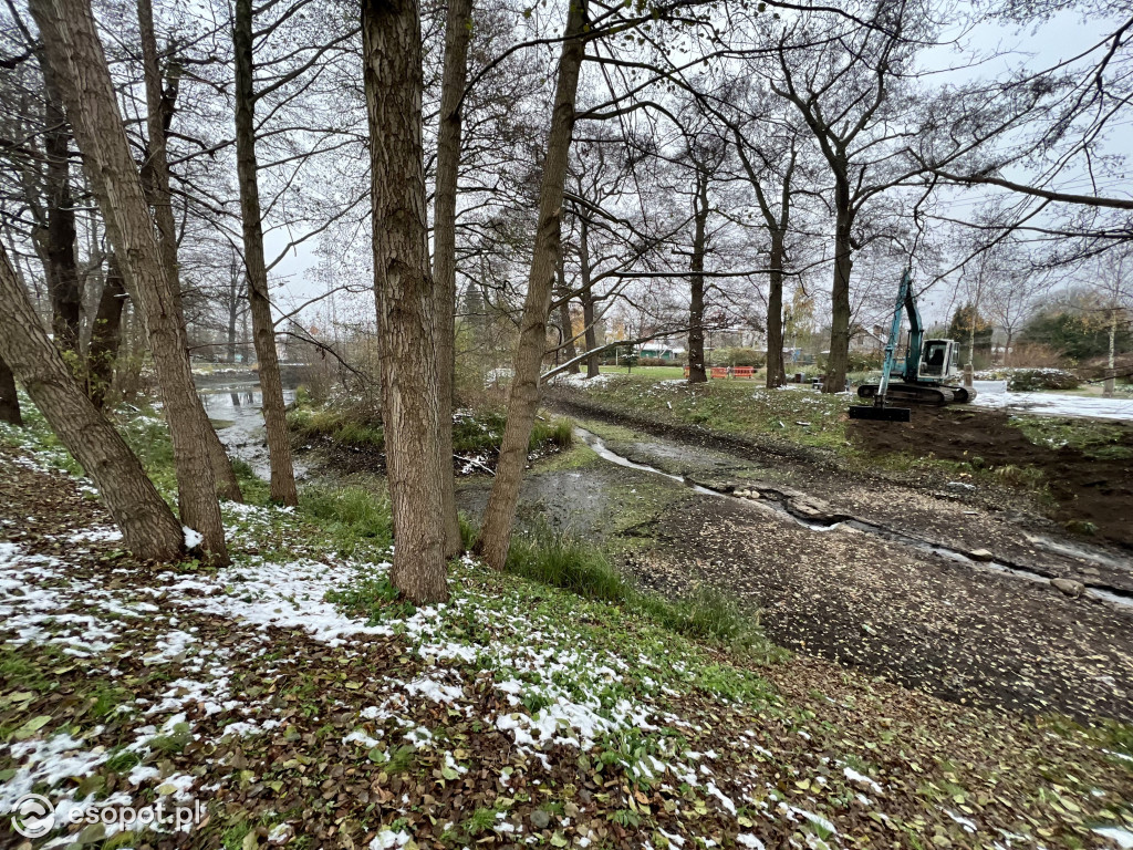 Zobacz osuszony staw przy ul. Reja! Trwa oczyszczanie zbiornika [FOTO]