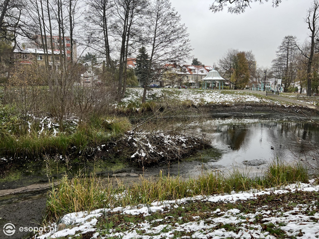 Zobacz osuszony staw przy ul. Reja! Trwa oczyszczanie zbiornika [FOTO]