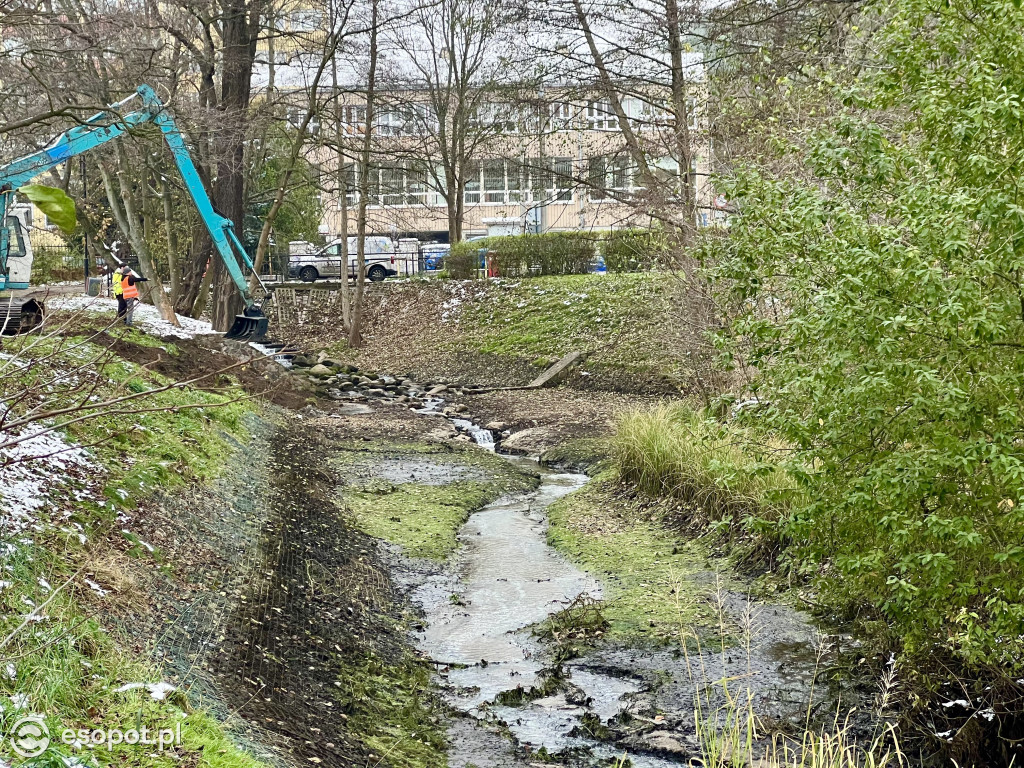Zobacz osuszony staw przy ul. Reja! Trwa oczyszczanie zbiornika [FOTO]