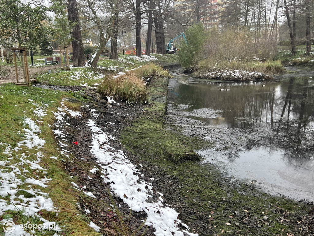 Zobacz osuszony staw przy ul. Reja! Trwa oczyszczanie zbiornika [FOTO]