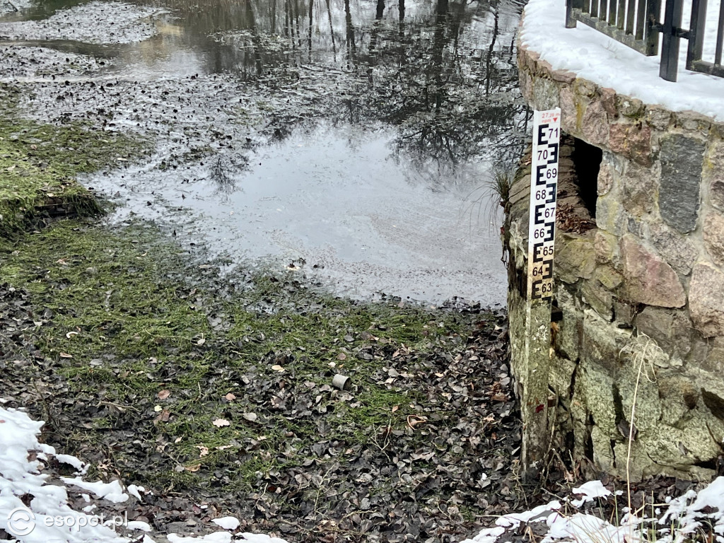 Zobacz osuszony staw przy ul. Reja! Trwa oczyszczanie zbiornika [FOTO]
