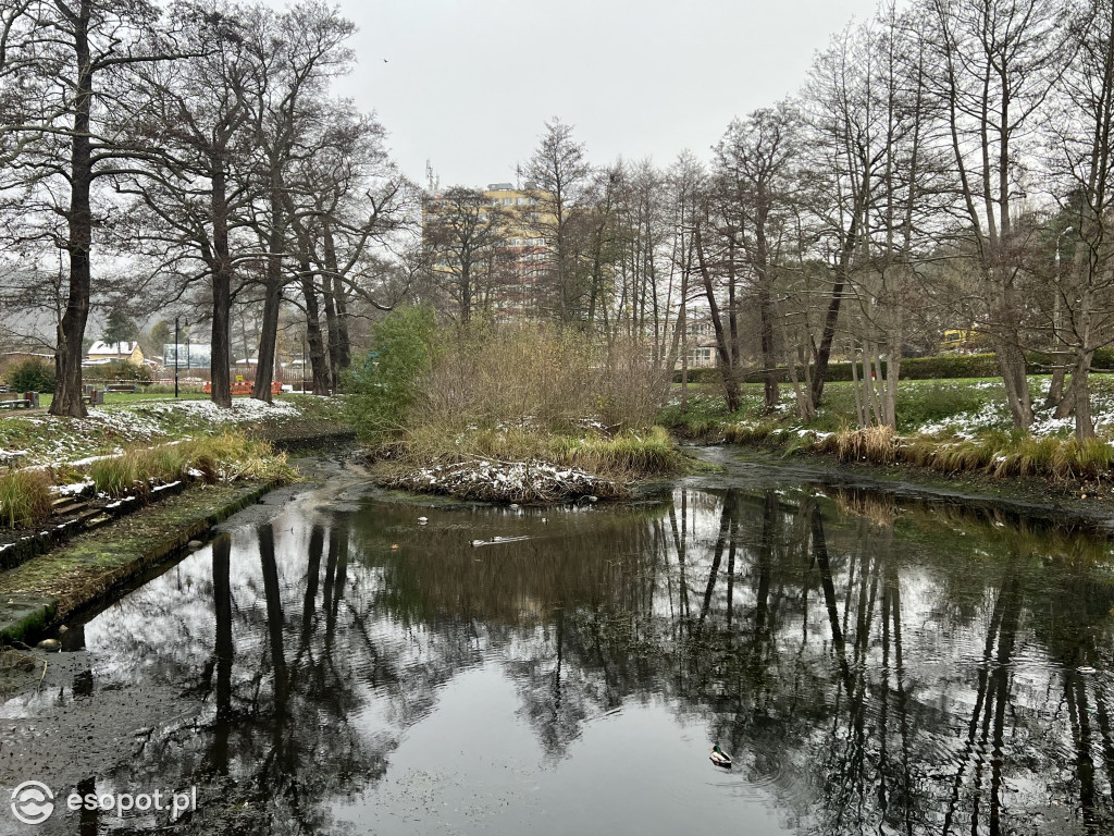 Zobacz osuszony staw przy ul. Reja! Trwa oczyszczanie zbiornika [FOTO]