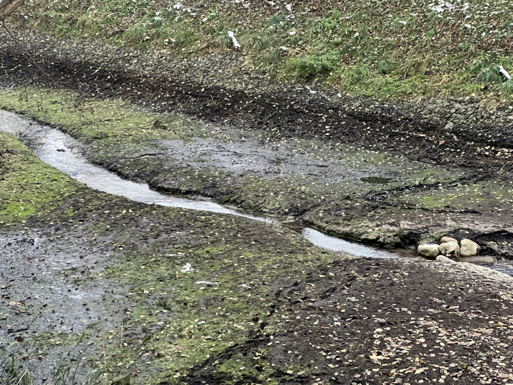 Zobacz osuszony staw przy ul. Reja! Trwa oczyszczanie zbiornika [FOTO]