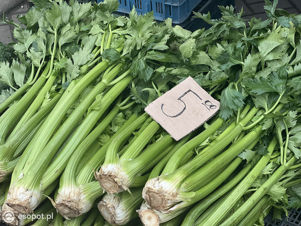 Świątecznie na Sopockim Rynku - odwiedziliśmy popularny targ [FOTO]