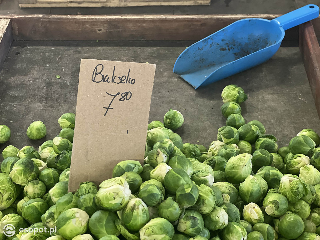 Świątecznie na Sopockim Rynku - odwiedziliśmy popularny targ [FOTO]