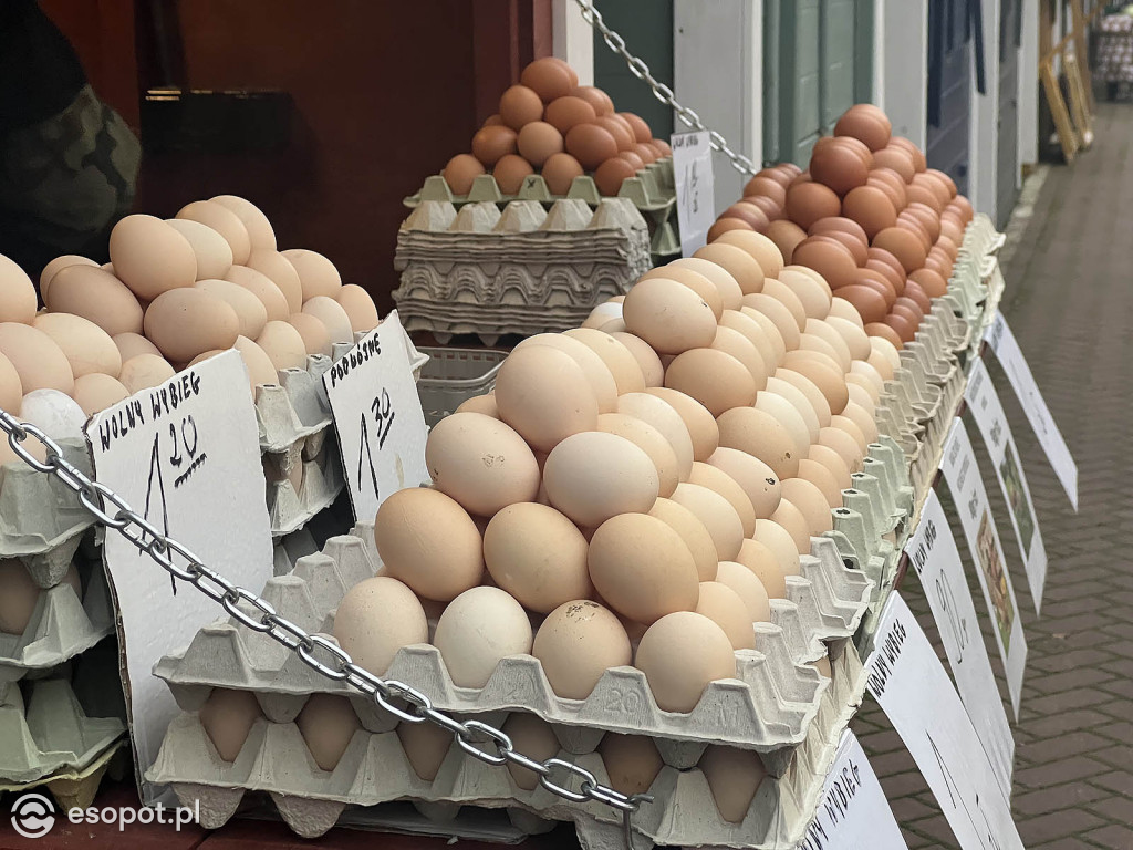 Świątecznie na Sopockim Rynku - odwiedziliśmy popularny targ [FOTO]