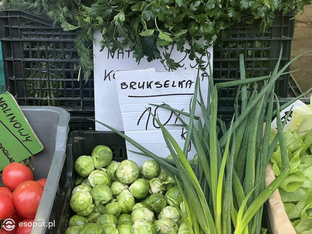 Świątecznie na Sopockim Rynku - odwiedziliśmy popularny targ [FOTO]