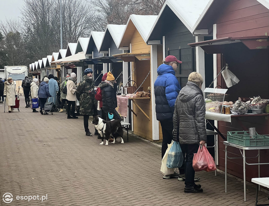 Świątecznie na Sopockim Rynku - odwiedziliśmy popularny targ [FOTO]