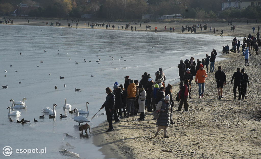 Słoneczny Sopot na pięknych zdjęciach! Za nami ostatni weekend listopada [FOTO]