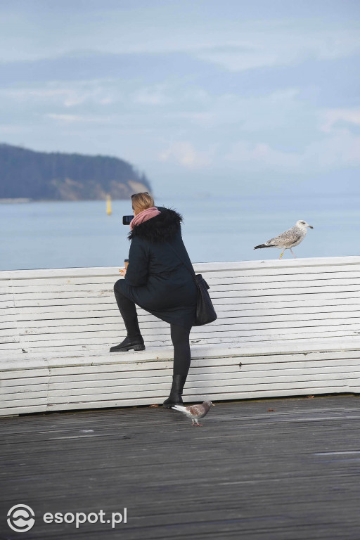 Słoneczny Sopot na pięknych zdjęciach! Za nami ostatni weekend listopada [FOTO]