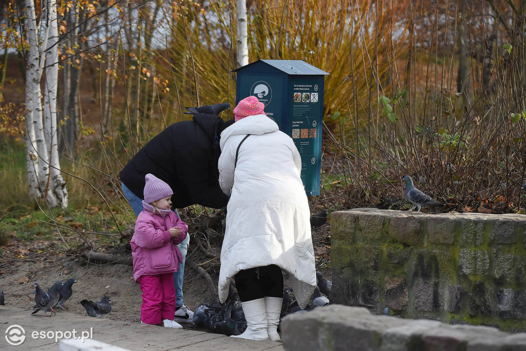 Słoneczny Sopot na pięknych zdjęciach! Za nami ostatni weekend listopada [FOTO]