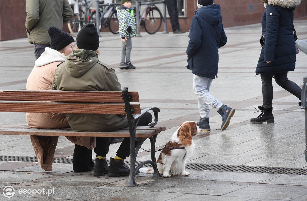 Słoneczny Sopot na pięknych zdjęciach! Za nami ostatni weekend listopada [FOTO]