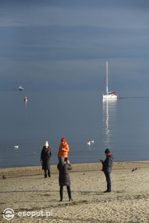 Słoneczny Sopot na pięknych zdjęciach! Za nami ostatni weekend listopada [FOTO]