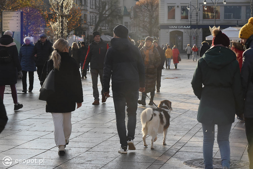 Słoneczny Sopot na pięknych zdjęciach! Za nami ostatni weekend listopada [FOTO]