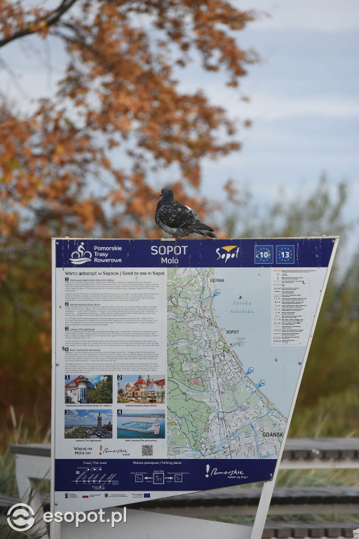 Słoneczny Sopot na pięknych zdjęciach! Za nami ostatni weekend listopada [FOTO]