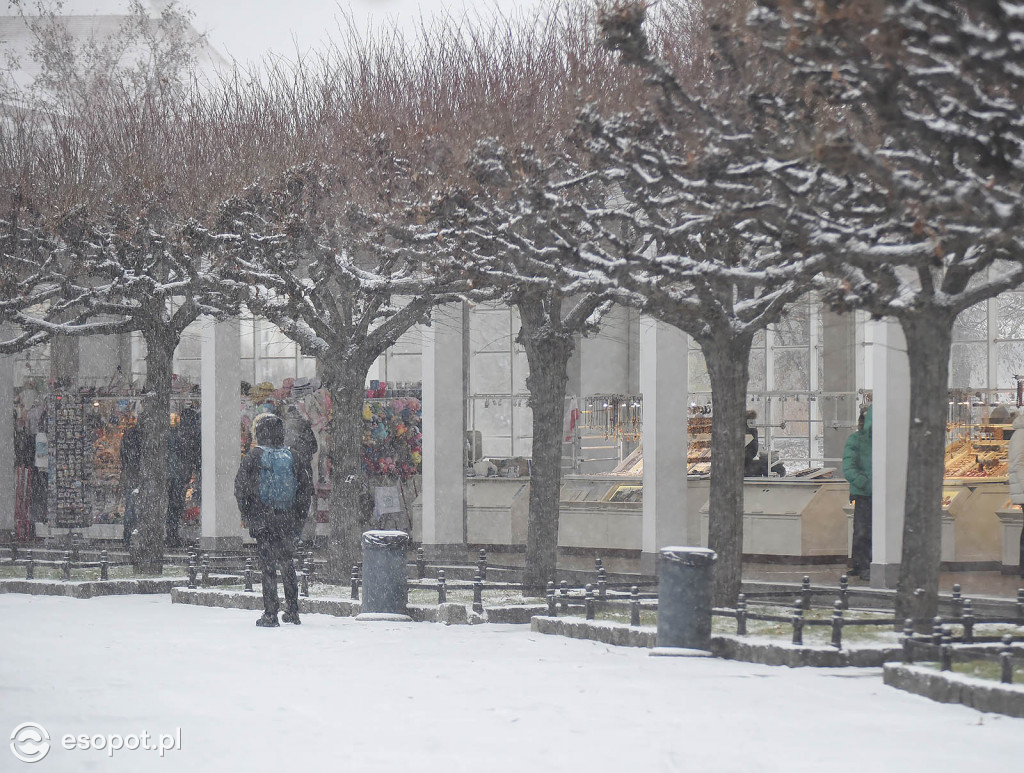 Bajkowy Sopot na zdjęciach! Zimowy początek grudnia w kurorcie [FOTO]