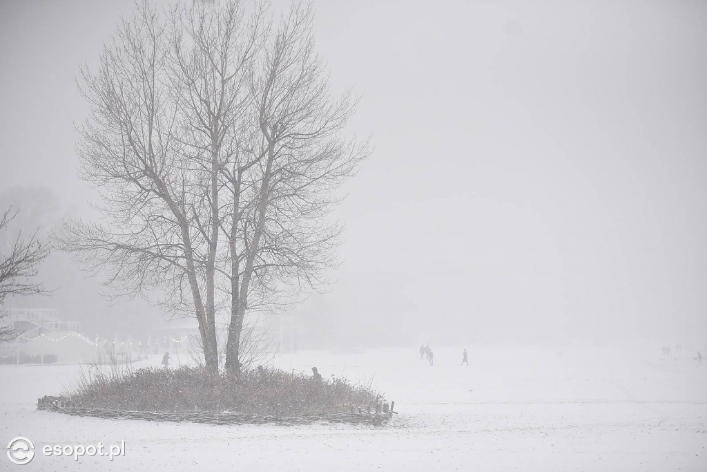 Bajkowy Sopot na zdjęciach! Zimowy początek grudnia w kurorcie [FOTO]