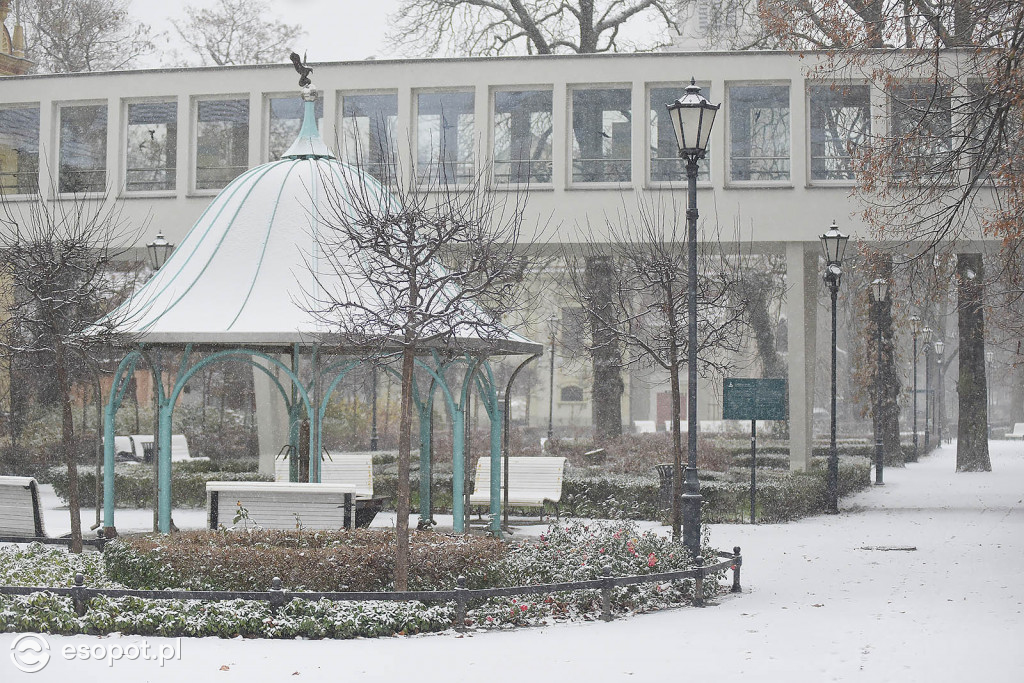 Bajkowy Sopot na zdjęciach! Zimowy początek grudnia w kurorcie [FOTO]