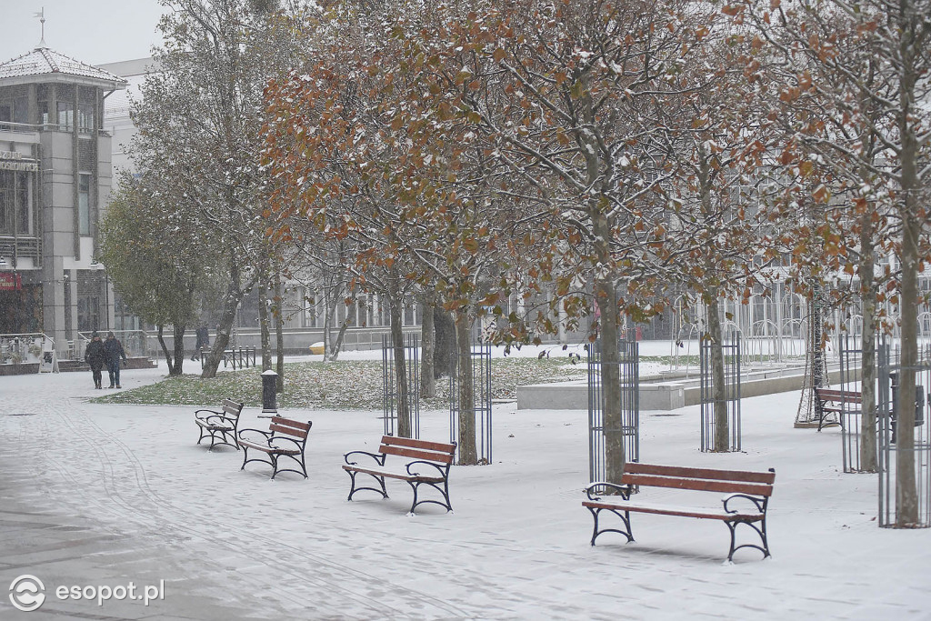 Bajkowy Sopot na zdjęciach! Zimowy początek grudnia w kurorcie [FOTO]
