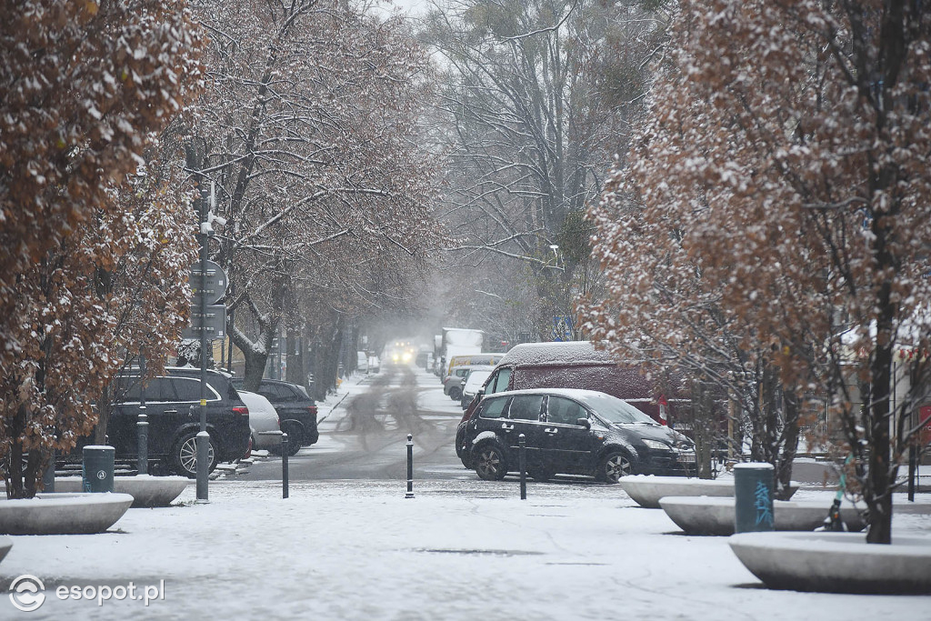 Bajkowy Sopot na zdjęciach! Zimowy początek grudnia w kurorcie [FOTO]