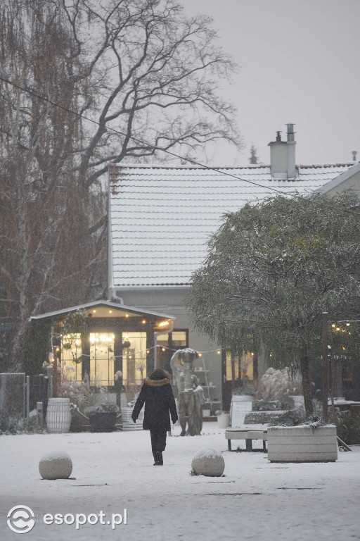 Bajkowy Sopot na zdjęciach! Zimowy początek grudnia w kurorcie [FOTO]