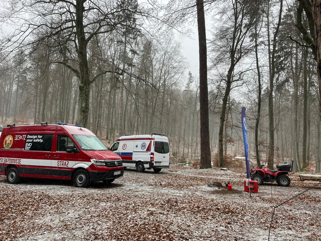 Poszukiwania zaginionych w trójmiejskim lesie! Tak ćwiczyli pomorscy terytorialsi [FOTO]