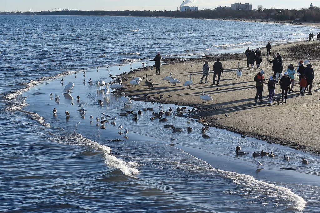 Świąteczny Sopot na zdjęciach! Pogodowy kalejdoskop w kurorcie [FOTO]