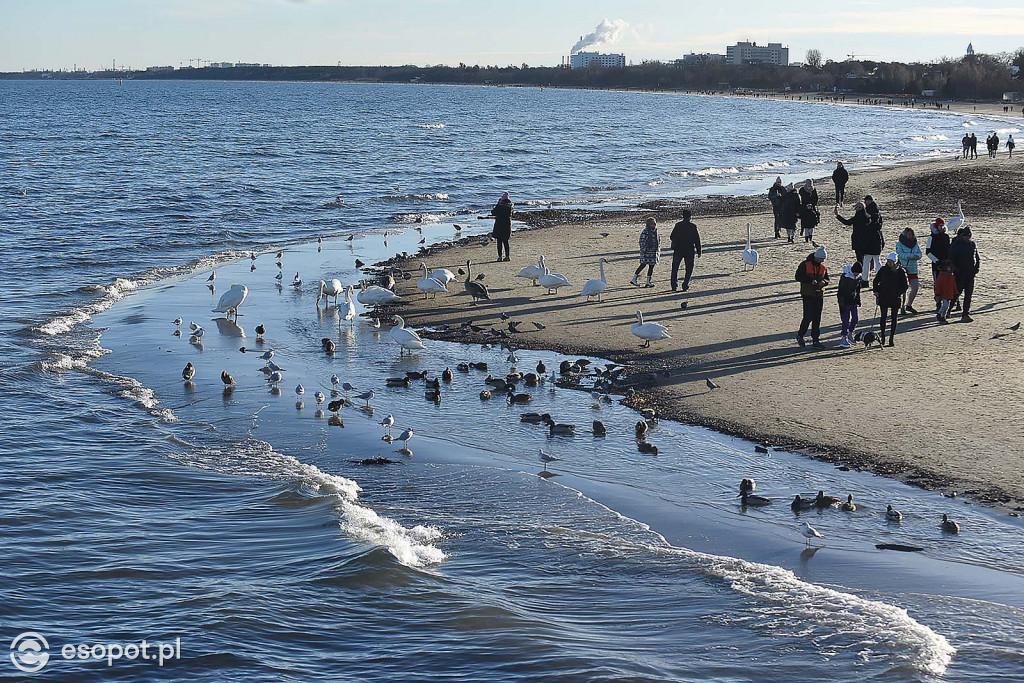 Świąteczny Sopot na zdjęciach! Pogodowy kalejdoskop w kurorcie [FOTO]