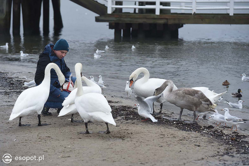 Mokry koniec świąt w Sopocie! Klimatyczne zdjęcia z pochmurnego kurortu [FOTO]