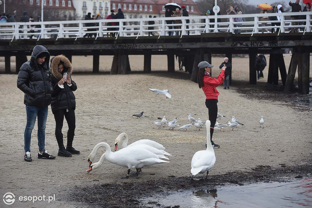 Mokry koniec świąt w Sopocie! Klimatyczne zdjęcia z pochmurnego kurortu [FOTO]