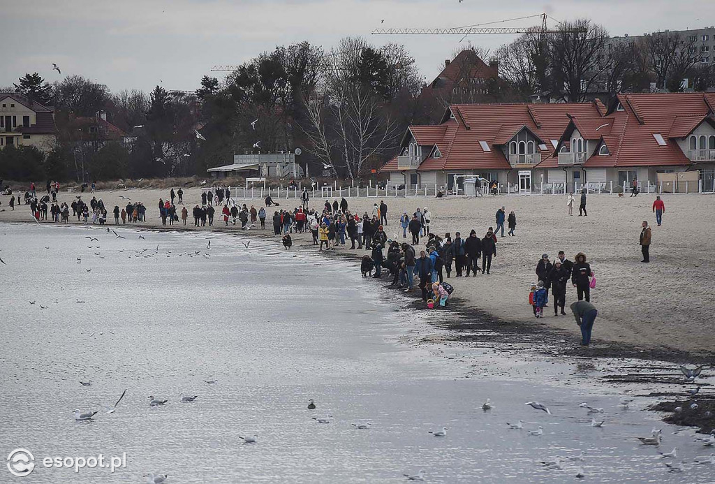 W Sopocie oblężenie jak w lecie! Zdjęcia z pierwszego dnia Nowego Roku [FOTO]