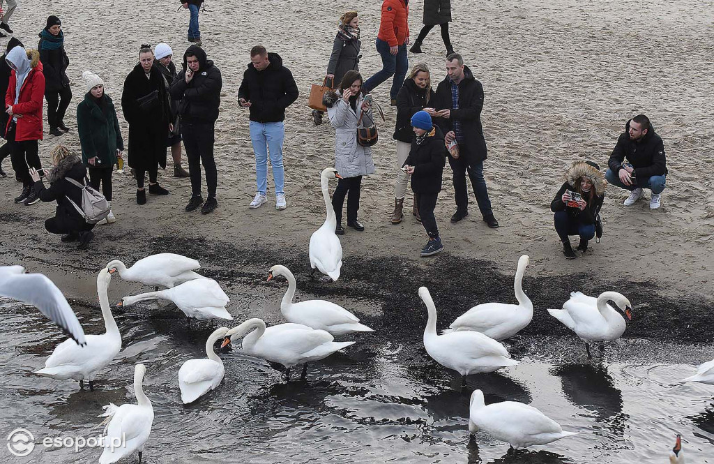 W Sopocie oblężenie jak w lecie! Zdjęcia z pierwszego dnia Nowego Roku [FOTO]