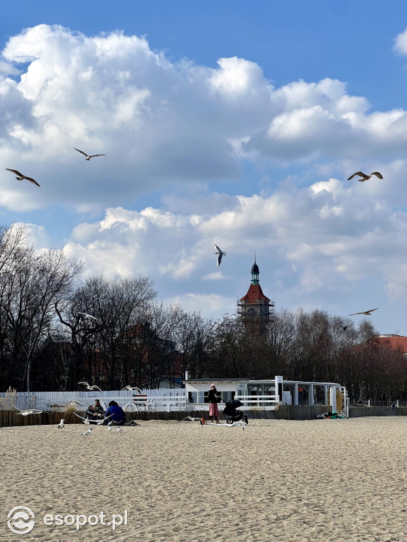 Ostatni weekend zimy w Sopocie! Tłumy skorzystały z pięknej wiosennej pogody [FOTO]