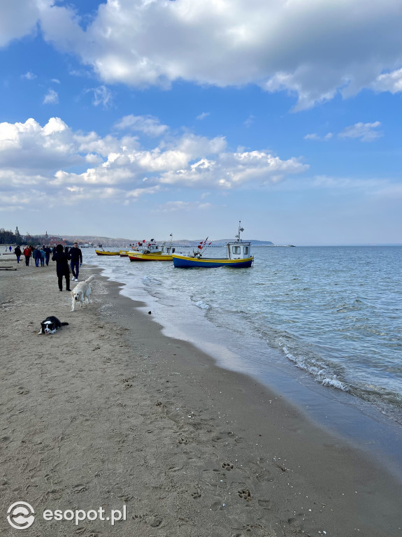 Ostatni weekend zimy w Sopocie! Tłumy skorzystały z pięknej wiosennej pogody [FOTO]