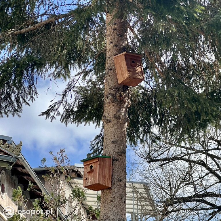Pierwszy dzień kalendarzowej wiosny w Sopocie! Miasto budzi się z zimowego snu [FOTO]