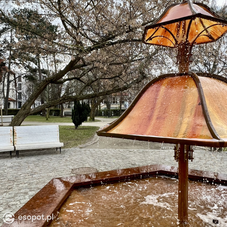Pierwszy dzień kalendarzowej wiosny w Sopocie! Miasto budzi się z zimowego snu [FOTO]