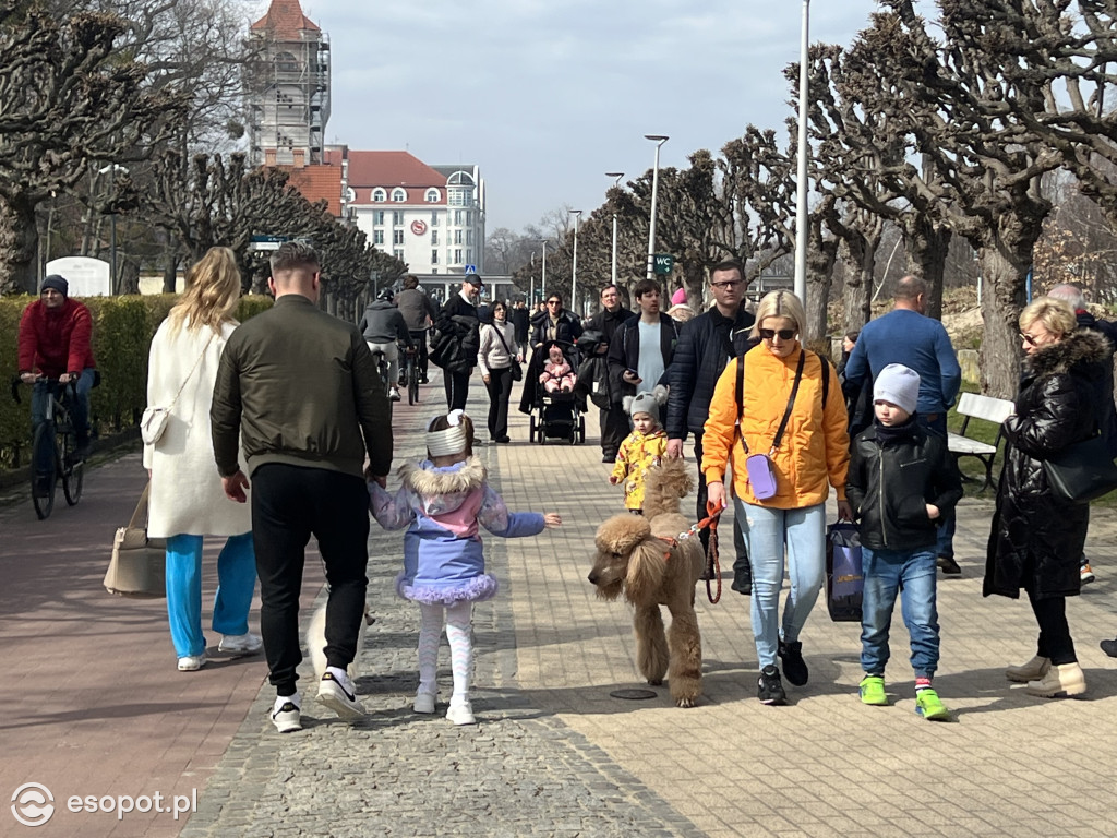 Sopot przyciągnął tłumy w Wielką Sobotę! Wiosenne zdjęcia z kurortu [FOTO]